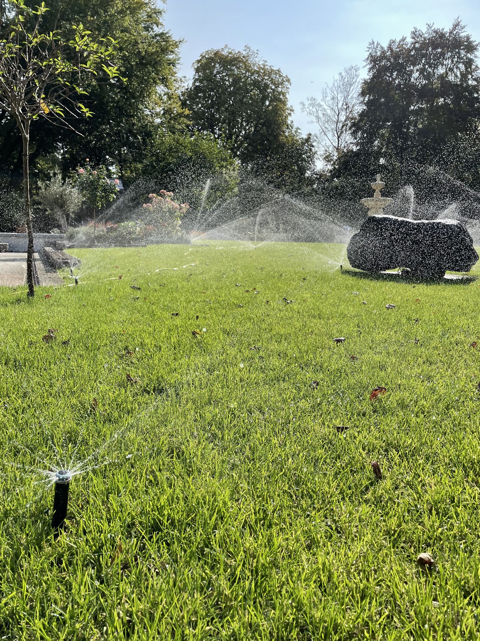 Rasensprinkler-Installation rund um den Zierbrunnen